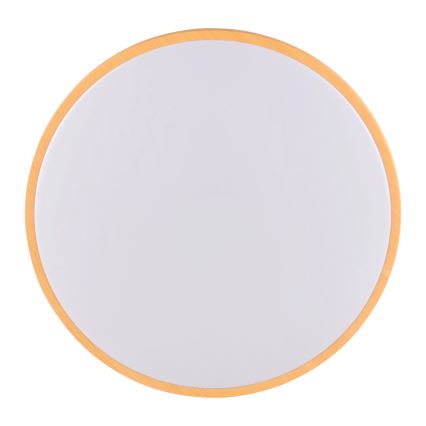 LED Stropné svietidlo WOODY LED/24W/230V pr. 38 cm