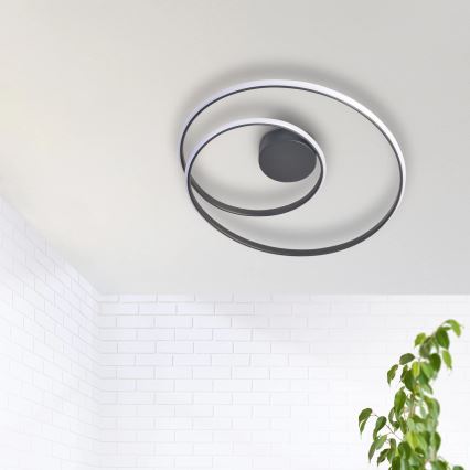 LED Stropné svietidlo ZEFIRA LED/40W/230V 4000K pr. 50 cm antracit