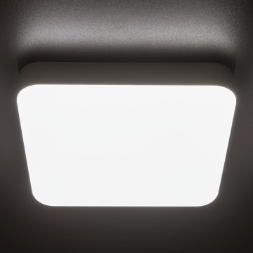 LED Technické stropné svietidlo IPER LED/26W/230V IK10 IP65 hranatý biela