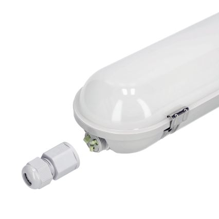 LED Technické žiarivkové svietidlo NEXFORCE LED/40W/230V IP65 4000K