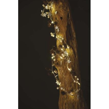 LED Vianočný reťaz 20xLED/2xAA 2m