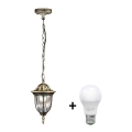 LED vonkajší luster FLORENCJA 1xE27/10W/230V IP43