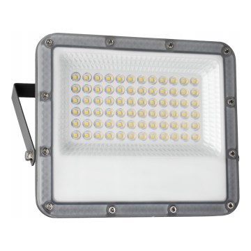 LED vonkajší reflektor LED/50W/230V 4500K IP65 sivý