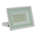 LED Vonkajší reflektor NOCTIS LUX 3 LED/30W/230V 3000K IP65 biela