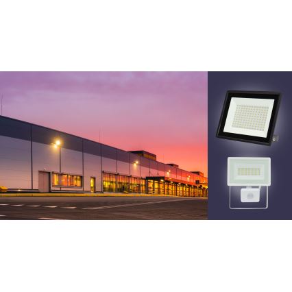 LED Vonkajší reflektor NOCTIS LUX 3 LED/30W/230V 3000K IP65 biela