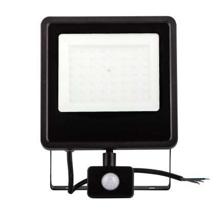 LED Vonkajší reflektor so senzorom LED/100W/230V 4000K IP65 čierna