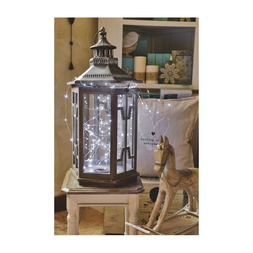 LED vonkajší svetelný reťazec 100xLED/15m IP44 studená biela