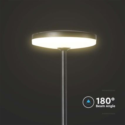 LED Vonkajšia lampa LED/12W/230V 4000K IP65 antracit