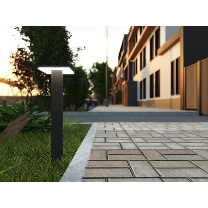 LED Vonkajšia lampa so senzorom BARI LED/10W/230V 4000K 60 cm IP54 antracit