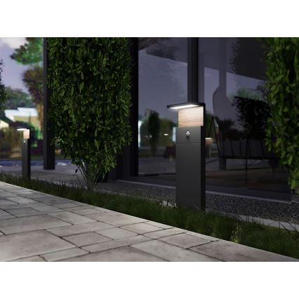 LED Vonkajšia lampa so senzorom NATURA LED/12W/230V 4000K IP54 hnedá/antracit