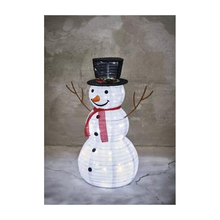 LED Vonkajšia vianočná dekorácia 80xLED/2,25W/4,5/230V IP44 studená biela