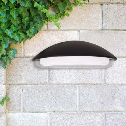 LED vonkajšie nástenné svietidlo ALABAMA LED/12W/230V IP54 čierne