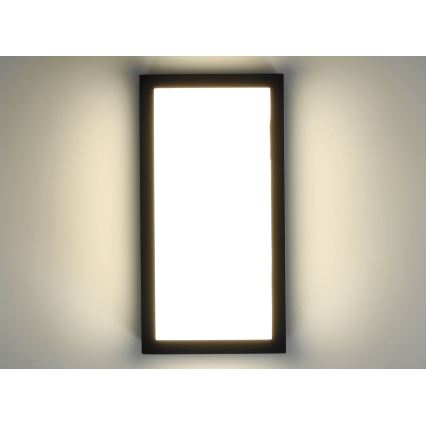 LED Vonkajšie nástenné svietidlo ENTERA LED/10W/230V 4000K IP54