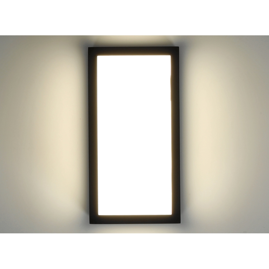LED Vonkajšie nástenné svietidlo ENTERA LED/10W/230V 4000K IP54