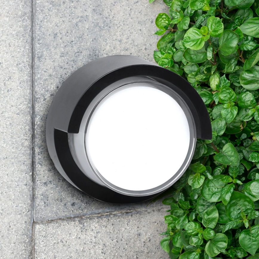 LED Vonkajšie nástenné svietidlo ESSEN LED/10W/230V IP44 čierna