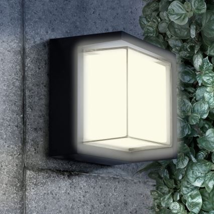 LED Vonkajšie nástenné svietidlo ESSEN LED/12W/230V IP44 čierna