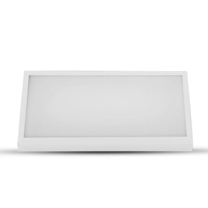 LED Vonkajšie nástenné svietidlo LED/12W/230V 6400K IP65 biela