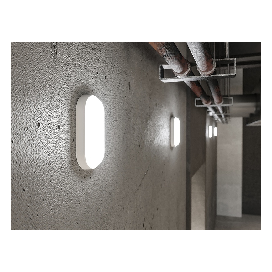 LED vonkajšie nástenné svietidlo LED/12W/230V IP54 biele