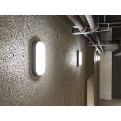 LED vonkajšie nástenné svietidlo LED/6W/230V IP54 čierne