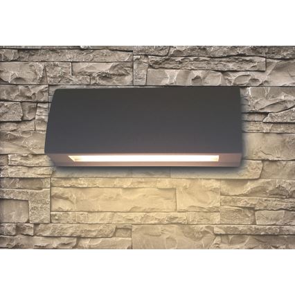 LED Vonkajšie nástenné svietidlo LED/6W/230V IP54