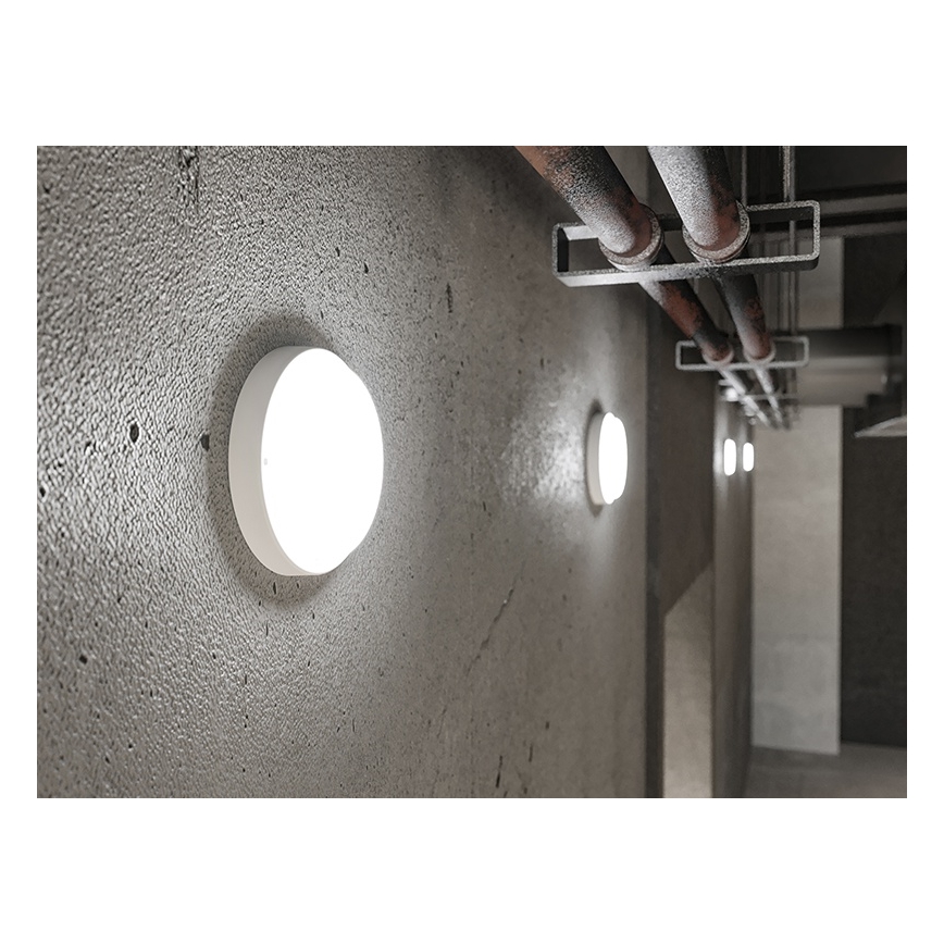 LED vonkajšie nástenné svietidlo LED/9W/230V IP54 biele