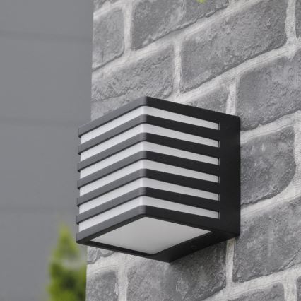 LED Vonkajšie nástenné svietidlo MAXWELL LED/10W/230V IP54 grafit