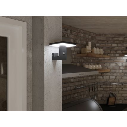 LED Vonkajšie nástenné svietidlo so senzorom BARI LED/10W/230V 4000K IP54 antracit