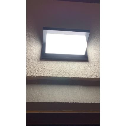 LED Vonkajšie nástenné svietidlo so senzorom LED/12W/230V IP54 čierna