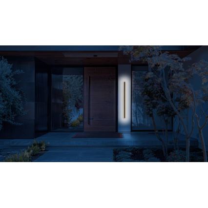 LED Vonkajšie nástenné svietidlo STICK LED/12W/230V IP65 3000K 60 cm
