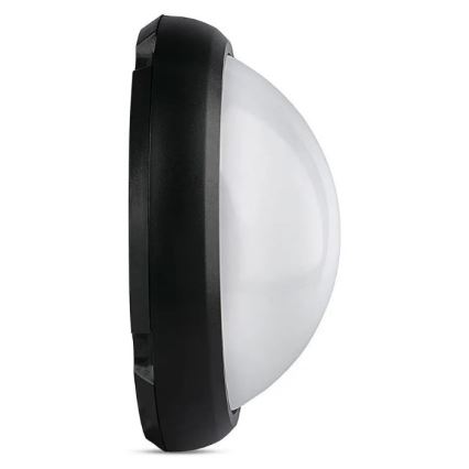 LED Vonkajšie stropné svietidlo LED/12W/230V IP54