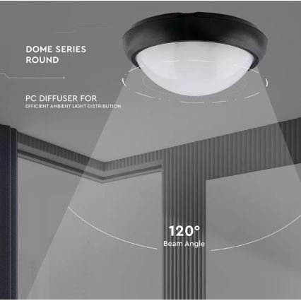 LED Vonkajšie stropné svietidlo LED/12W/230V IP54