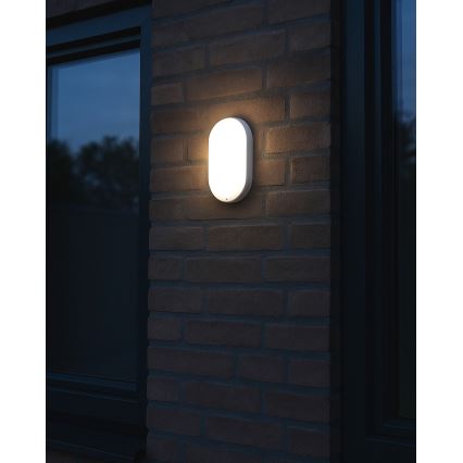 LED vonkajšie stropné svietidlo LED/8W/230V 4200K IP64 biela