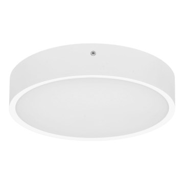 LED Vonkajšie stropné svietidlo MARTIN LED/15W/230V 3000/4000K pr. 30 cm IP65 biela