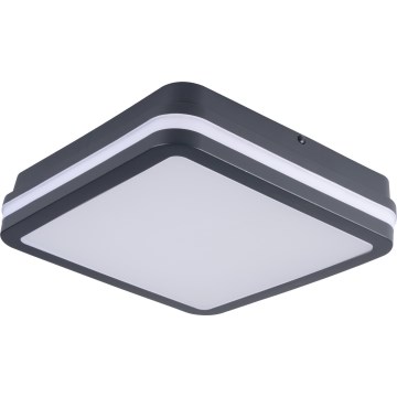 LED Vonkajšie stropné svietidlo so senzorom pohybu BENO LED/12/18W/230V 3000/3500/4000K IP65 antracit hranatý