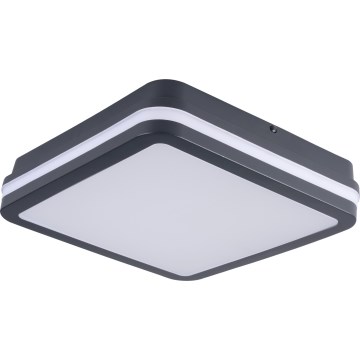 LED Vonkajšie stropné svietidlo so senzorom pohybu BENO LED/24/30W/230V 3000/3500/4000K IP65 antracit hranatý