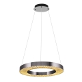 LED Závesné svietidlo JESI LED/35W/230V 3000K priemer 60 cm strieborná