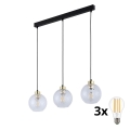 LED závesný luster na lanku DEVON 3xE27/15W/230V čierna/číra
