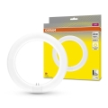 LED Žiarivková trubica G10q/11W/230V 3000K - Osram