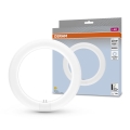LED Žiarivková trubica G10q/11W/230V 4000K - Osram