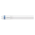 LED Žiarivková trubica Philips MASTER T8 G13/16W/80V 6500K 120 cm