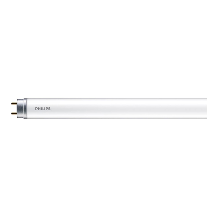 LED Žiarivková trubica Philips T8 G13/16W/230V 6500K 120 cm