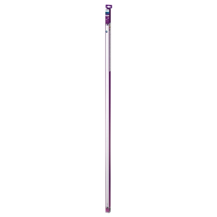 LED Žiarivková trubica Philips T8 G13/19,5W/230V 4000K 150 cm