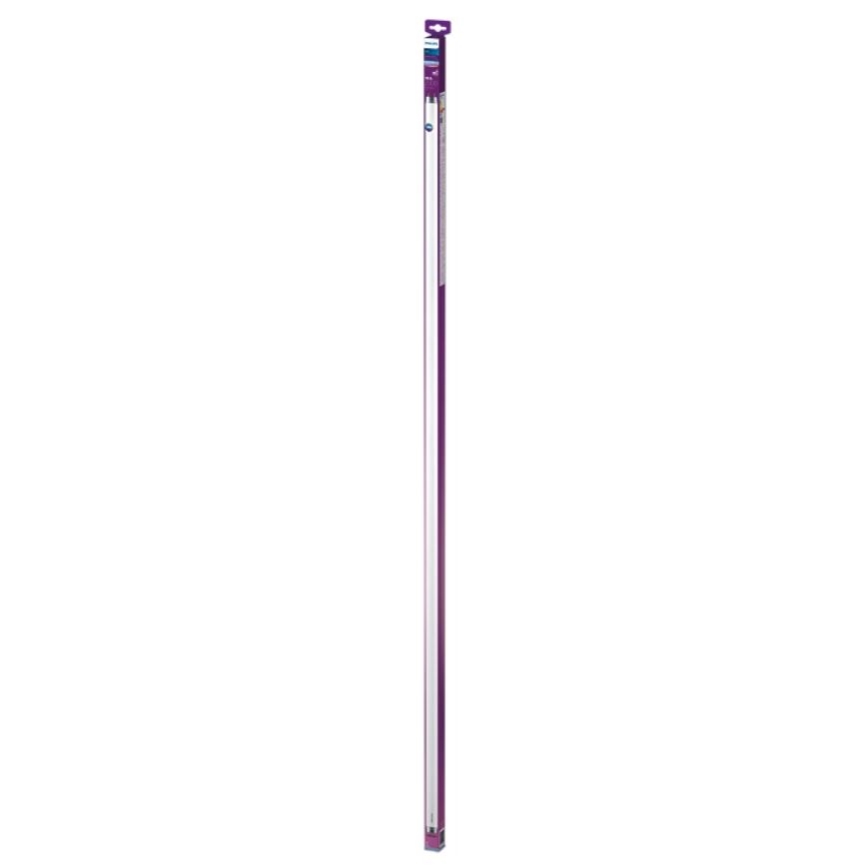 LED Žiarivková trubica Philips T8 G13/19,5W/230V 6500K 150 cm