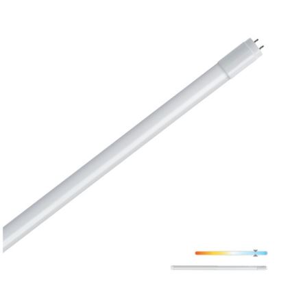 LED Žiarivková trubica T8 G13/9W/230V 6500K 60 cm