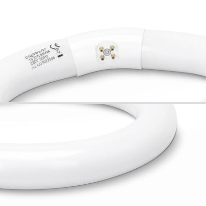 LED Žiarivková trubica T9 G24q-1/22W/230V 6500K - Aigostar