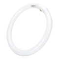 LED Žiarivková trubica T9 G24q-1/32W/230V 6500K - Aigostar
