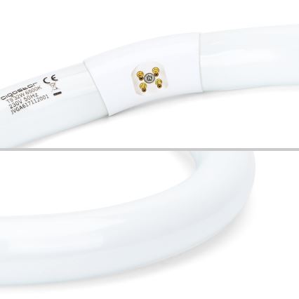 LED Žiarivková trubica T9 G24q-1/32W/230V 6500K - Aigostar