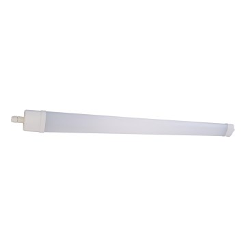 LED Žiarivkové svietidlo DAISY LED/40W/230V 4000K IP65