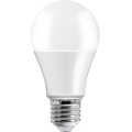LED žiarovka A70 E27/17W/230V 6500K