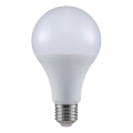 LED Žiarovka A80 E27/20W/230V 3000K
